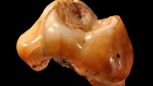 Hallan en una cueva de Italia los fósiles de «Homo sapiens» más antiguos de Europa