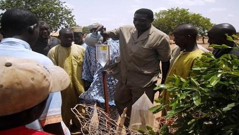 La información meteorológica aumenta el rendimiento de un cultivo