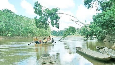Bolivia realizará una inspección a las empresas asentadas en el TIPNIS