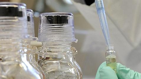 España, sobresaliente en la lucha contra el dopaje, según la Unesco