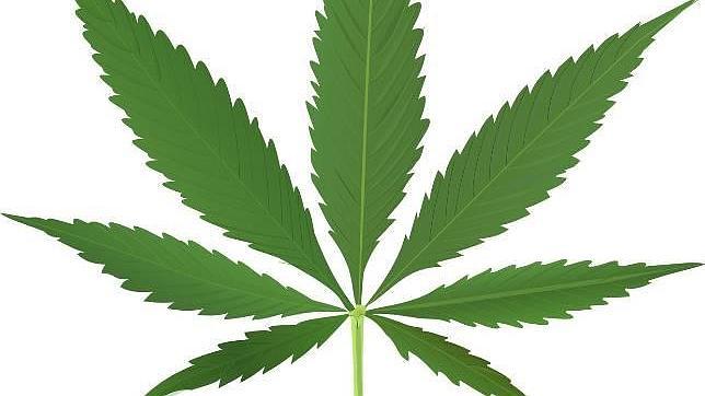 El País Vasco reabre el debate de la legalización de la marihuana