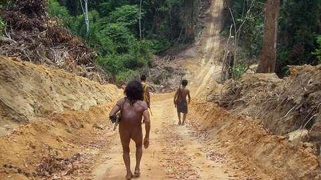 Una ONG denuncia la invasión de madereras en la Amazonia brasileña habitada por indígenas awás