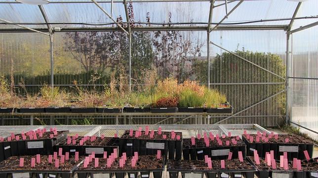 Vitoria: semillas para el futuro