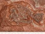 El criadero de dinosaurios más antiguo jamás encontrado