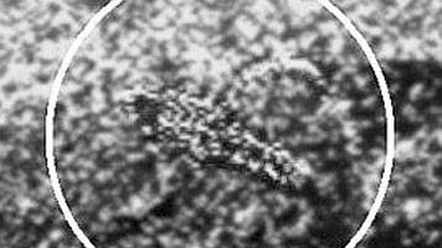 Científicos rusos creen haber hallado vida en Venus