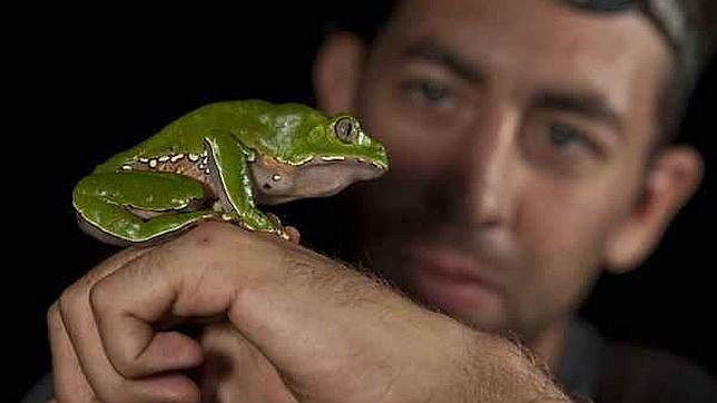 Hallan 365 nuevas especies en Perú