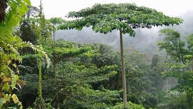 Madyamebe, en medio de África