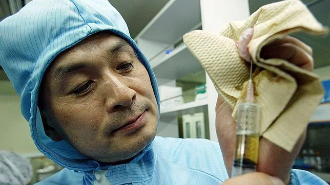 Hwang Woo-suk, el veterinario que engañó al mundo con una clonación humana