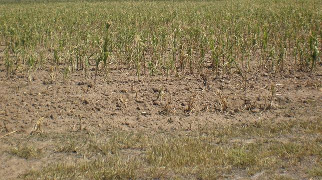 La provincia de Huesca pide ser declarada &quot;zona catastrófica&quot; por la falta de agua