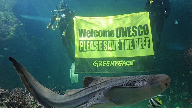 La Unesco investigará posibles daños en la Gran Barrera de Coral australiana