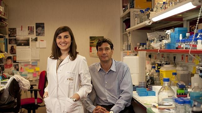 Una investigación española abre la puerta a un tratamiento contra el cáncer y la obesidad