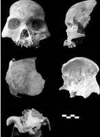 ¿Una nueva especie humana hallada en China?