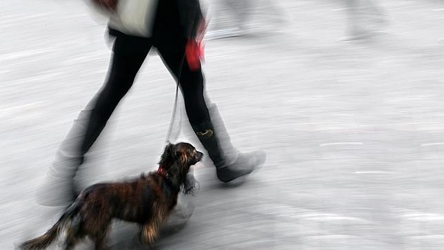 Caminar una hora al día reduce a la mitad la predisposición genética a engordar
