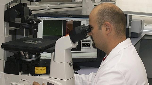 El PP reconoce que habrá «recortes relevantes» en investigación y ciencia