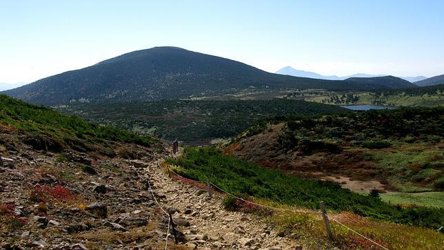 Se construirá en Fukushima una central eléctrica de origen térmico