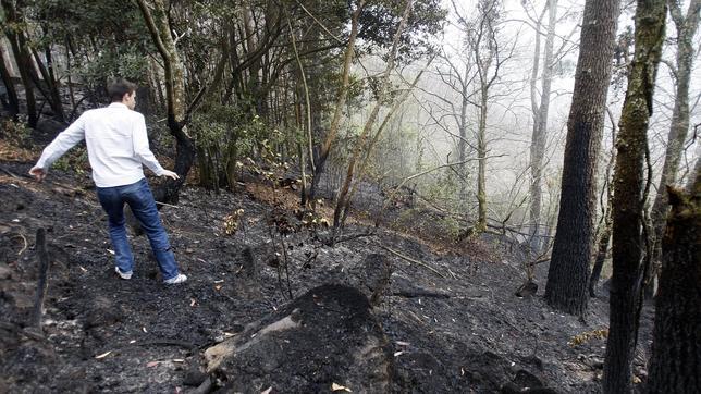 La Xunta da por controlado el fuego que asuela las Fragas del Eume