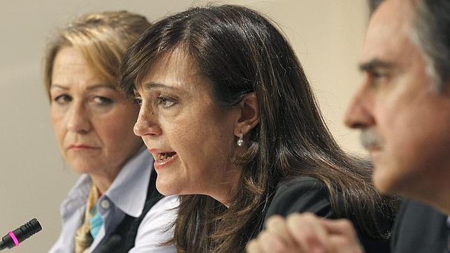 La amnistía fiscal supondrá un «expolio» de 7.000 millones, según el PSOE