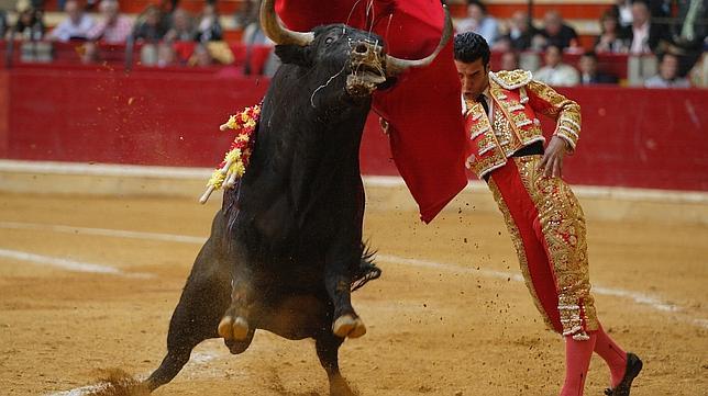El Gobierno aragonés auspicia un manifiesto en defensa de los toros