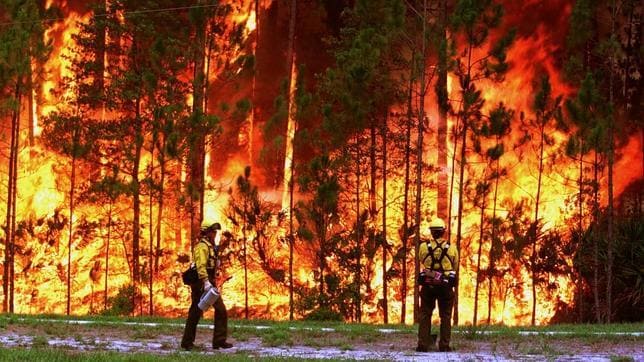 En lo que va de año, han ardido el triple de hectáreas que durante los tres primeros meses de 2011
