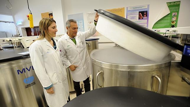 Un banco que «regala» vida