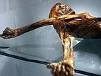 Ötzi, el «hombre de hielo», murió de un flechazo