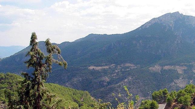 Bruselas abrirá expediente a España por daños ecológicos en la Sierra de Cazorla