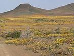 Diez de los 34 «puntos calientes de biodiversidad» que alberga la Tierra