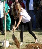 Gisele Bündchen, jardinera modélica