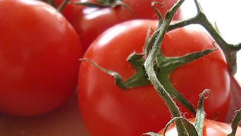 Lechuga, pepino y tomate, los alimentos más contaminados por disruptores endocrinos