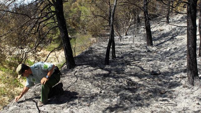 Los Bomberos remojan la zona del incendio de Castellet para extinguirlo