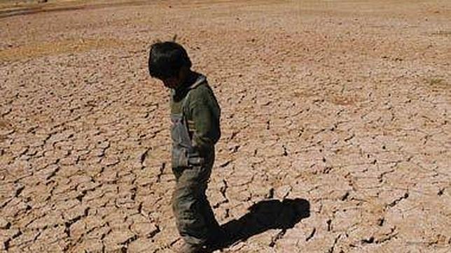 Cada año se pierden 12 millones de hectáreas a causa de la desertificación