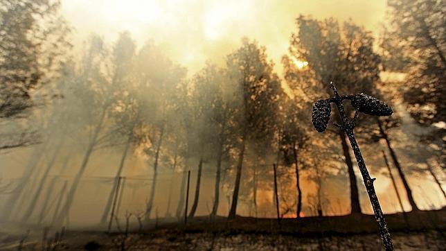 «Es un incendio de dimensiones brutales»