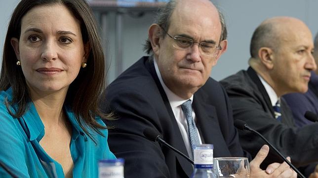 «Queremos que Chávez esté en las elecciones para que asista a la victoria de Capriles»