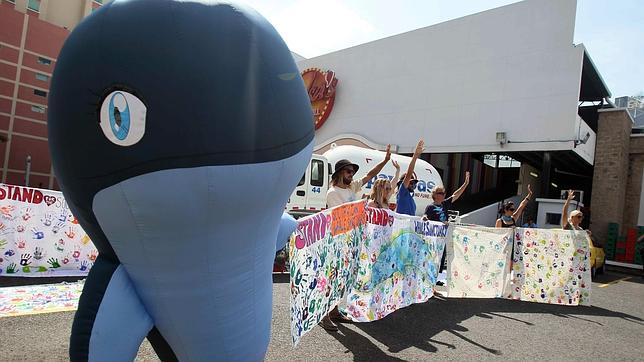 No habrá un Santuario para ballenas en el Atlántico Sur