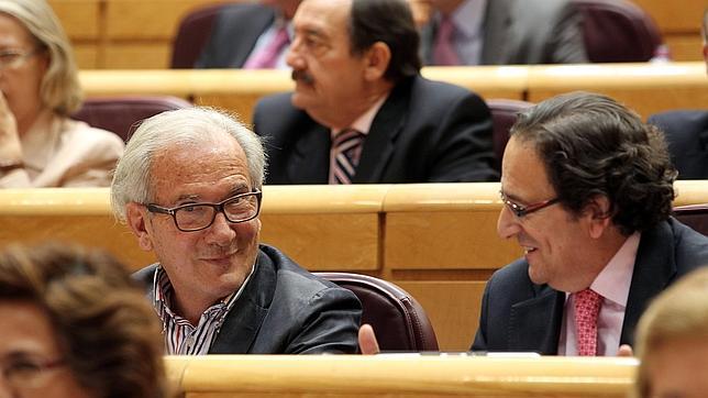 El PP suspende de militancia a Morano  por su deslealtad en relación a la minería