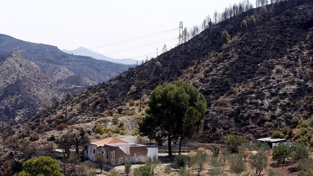 Evacuados varios chalés en Picassent al declararse un incendio