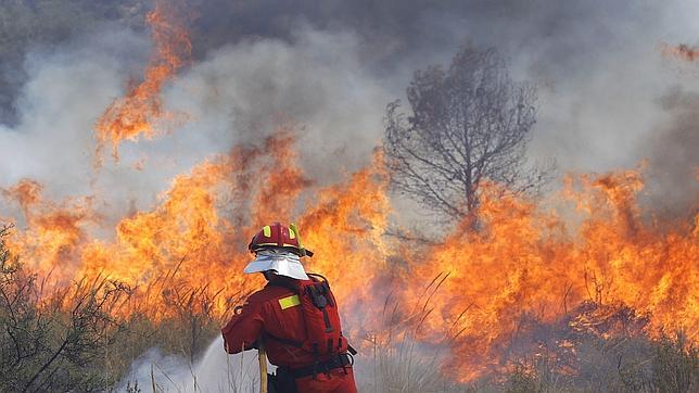 Semana trágica en los bosques: más de 50.000 hectáreas quemadas