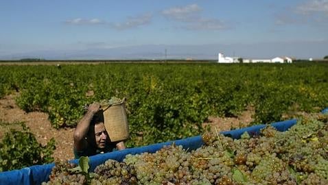 La región pierde más de 9.000 personas en flujo migratorio en el primer semestre