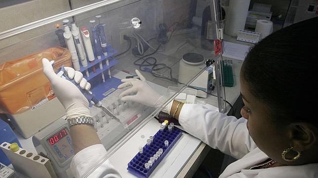 La Plataforma VIH en España, esperanzados ante los avances hacia la curación del sida