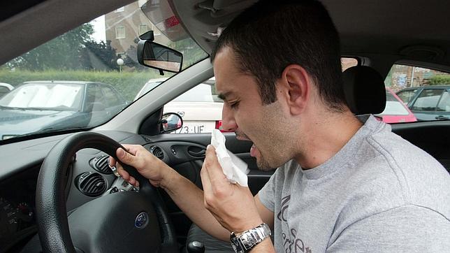 ¿Por qué cada vez hay más alergias?