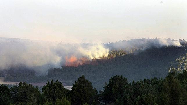 Movilizan a cientos de personas para luchar contra el fuego de Guadalajara