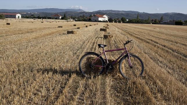 Donde el mundo se llama Celanova