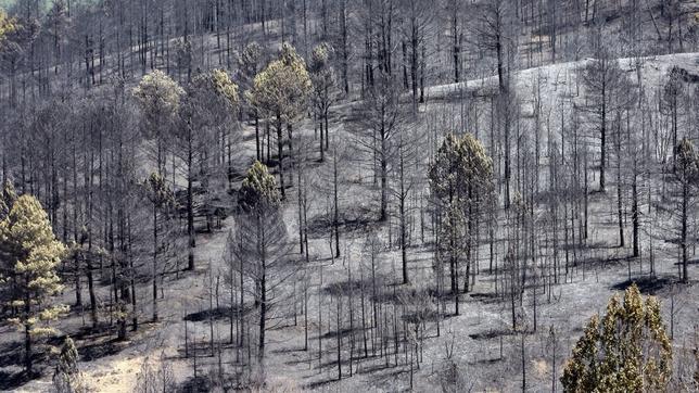 «Completamente estabilizado» el incendio del Parque Natural del Alto Tajo