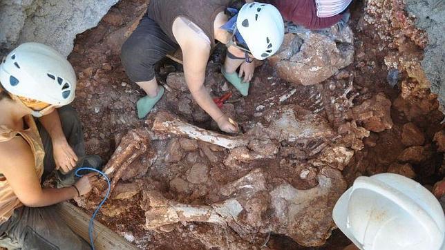 Descubren los restos de un elefante prehistórico en Castelldefels