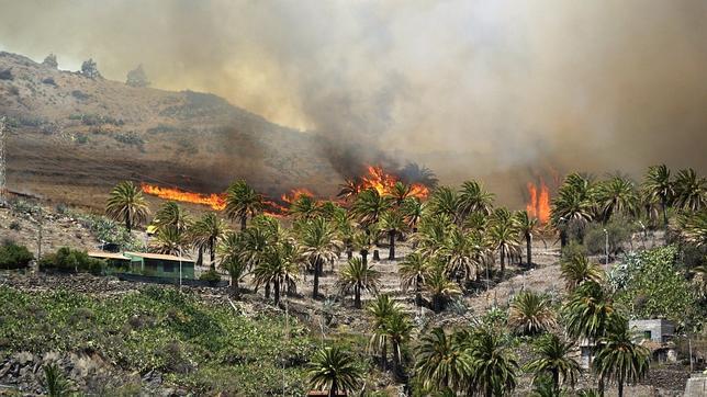 Frenan el avance del fuego en La Palma, pero sigue sin control en La Gomera