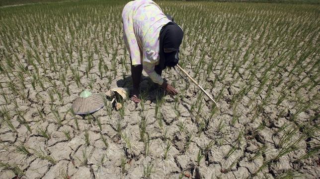 La ONU alerta sobre la subida del precio de la comida por culpa de la sequía