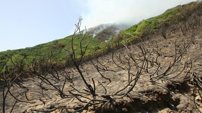 Controlado el fuego intencionado de la localidad leonesa de Palacios del Sil