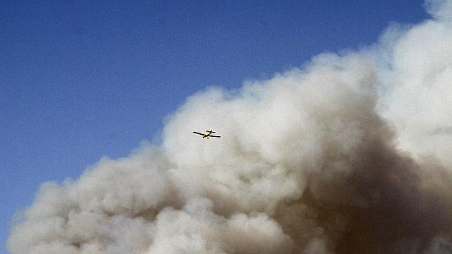 Cañete cree que los recortes en limpieza de algunas autonomías han afectado a los incendios