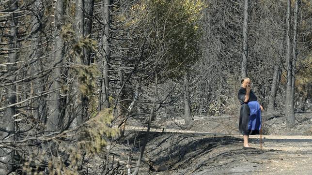 Las llamas arrasan León con un nuevo incendio en Vega de Almanza