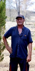 ¿Y si los cipreses de Jérica nos estuvieran diciendo lo que hay que hacer?